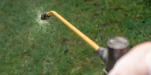 How Do You Deal With Lawn Pests Effectively?