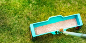 Organic Lawn Care Methods for a Greener Yard