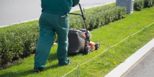 Seasonal Lawn Care Checklist for Homeowners