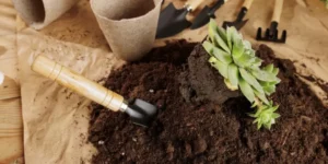 The Best Tools Every Plant Parent Needs