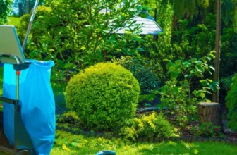 Tips for Transitioning Your Lawn Between Seasons