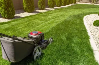 Sustainable Lawn Care Practices to Save Money