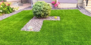 How to Maintain a Healthy Lawn in Dry Climates