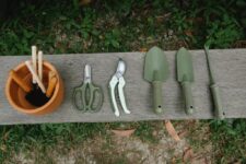 10 Must-Have Tools for Outdoor Gardening