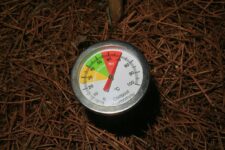 How to Test and Improve Soil Quality in My Garden?
