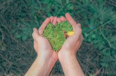 Why Is Repotting Necessary, and When Should You Do It?