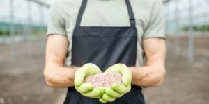 What Are the Best Fertilizers for Organic Gardening?