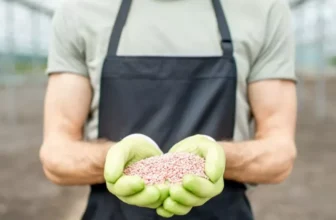 What Are the Best Fertilizers for Organic Gardening?