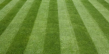 How Can You Achieve Stripes on Your Lawn Like a Golf Course?