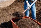 The Role of Composting in Sustainable Gardening
