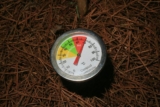 How to Test and Improve Soil Quality in My Garden?