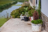 How Can You Choose the Right Pot Size for Your Plants?