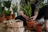 Seasonal Outdoor Gardening Tasks